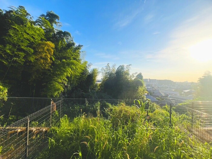 ブル－ラグ－ンの物件内観写真