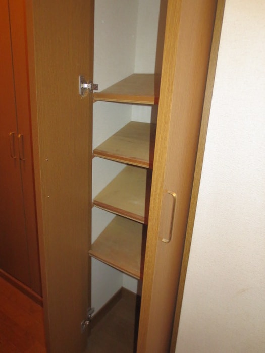 ダイヤモンドレジデンス勝どきの物件内観写真