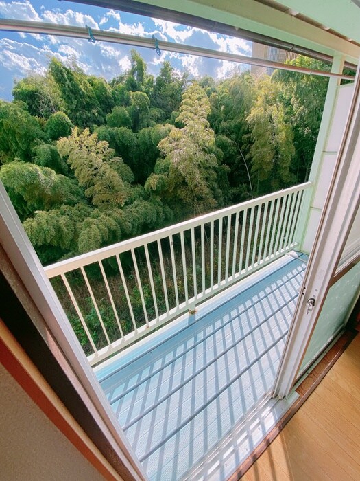 パインクレストの物件内観写真