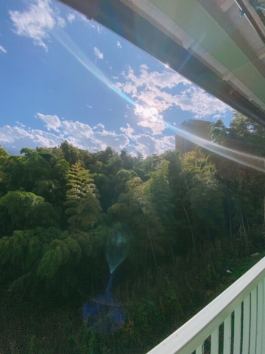 パインクレストの物件内観写真