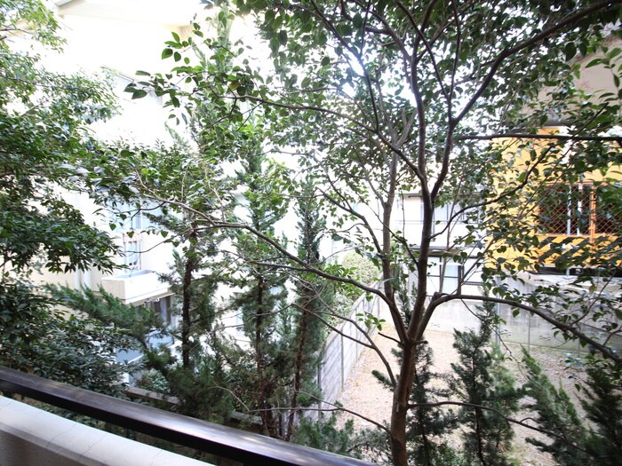 ビューラー３１６の物件内観写真