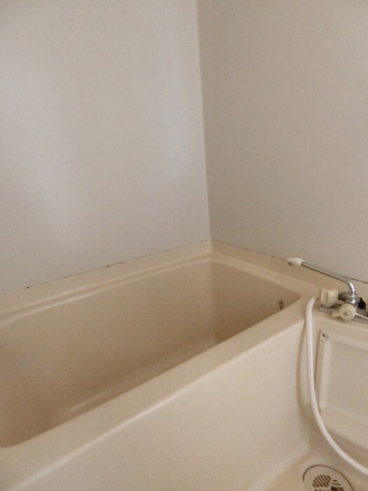 コーラルスターガーデンの物件内観写真