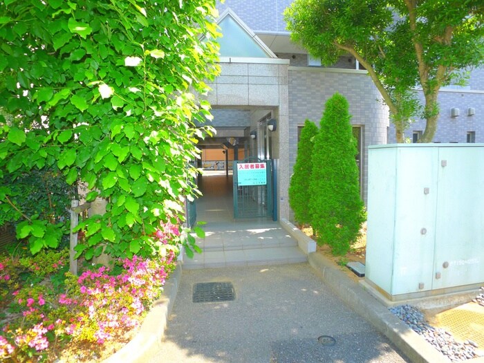 グレ－ス柏の物件外観写真