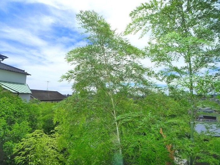 雅の物件内観写真