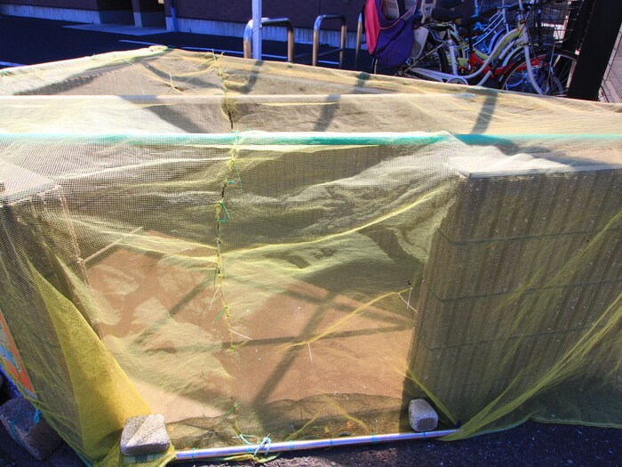 シャイニングフォールズの物件外観写真