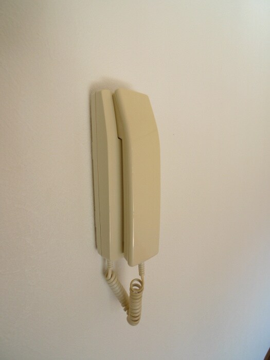 シャイニングフォールズの物件内観写真