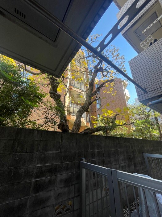 グランアセット自由ヶ丘の物件内観写真