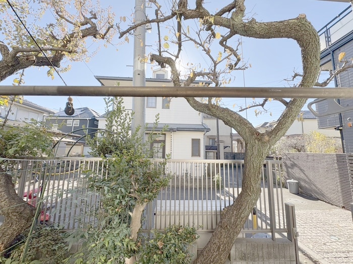 横山ハイツの物件内観写真