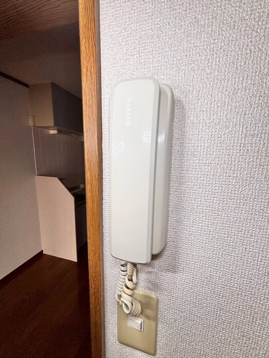 フラット　ピオニ－の物件内観写真