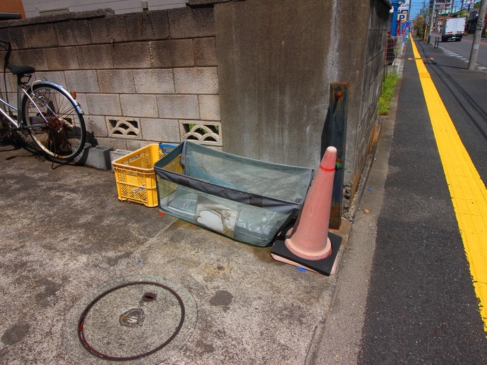 シティハイツの物件外観写真