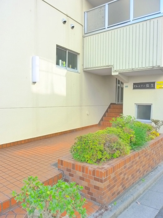 セレンティ弥生の物件外観写真