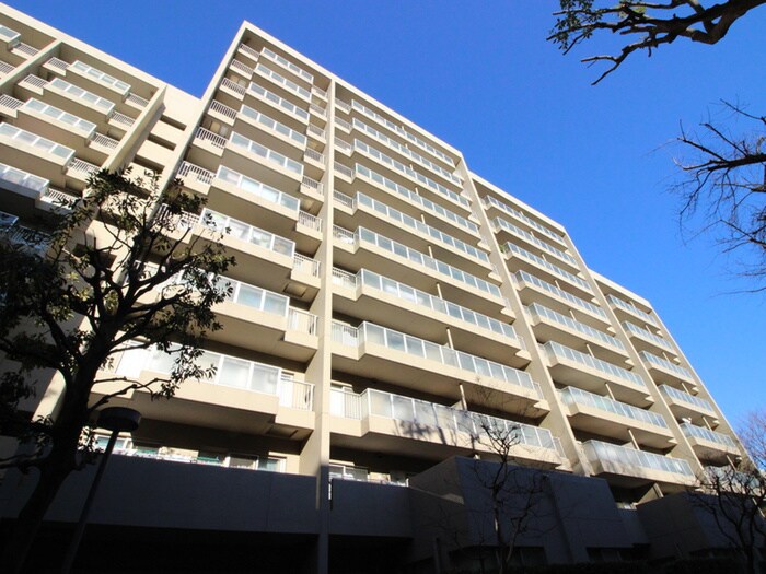 シーアイハイツB棟(1004)の物件外観写真