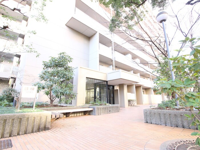 シーアイハイツB棟(1004)の物件外観写真