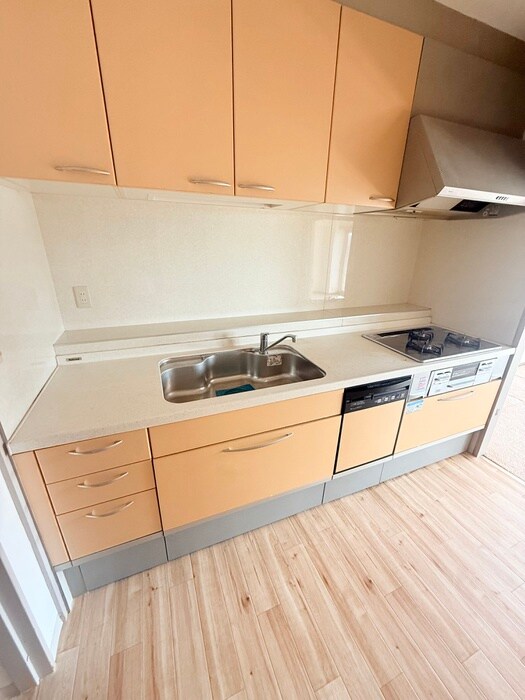 シーアイハイツB棟(1004)の物件内観写真