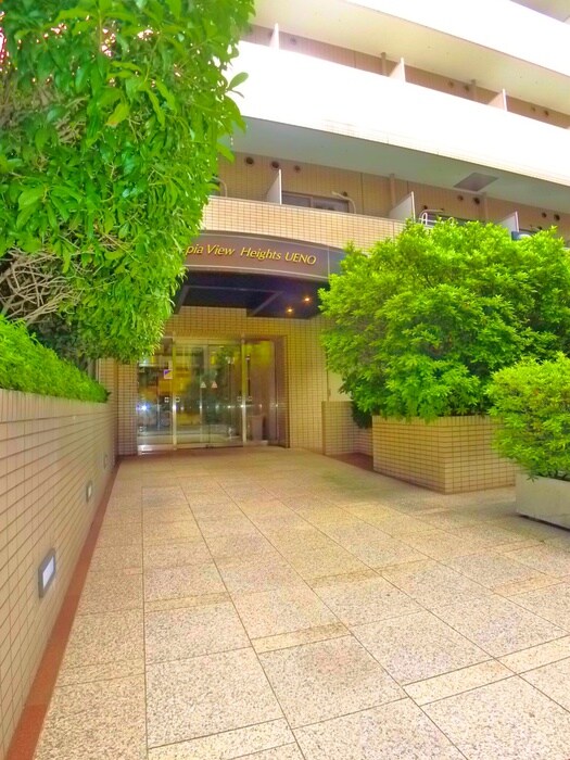 レジデンス上野の物件外観写真