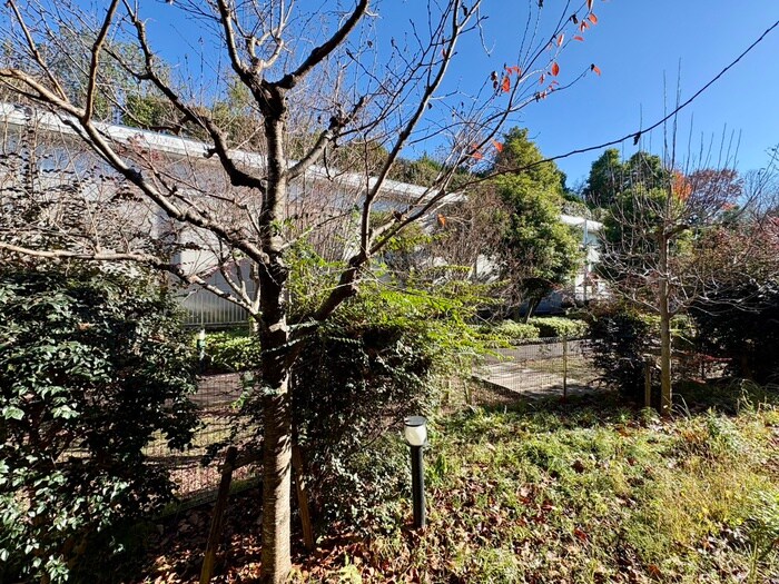 ドルフ喜多見Ｓ棟の物件内観写真