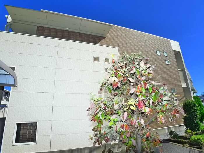 シャロルスタ－の物件外観写真