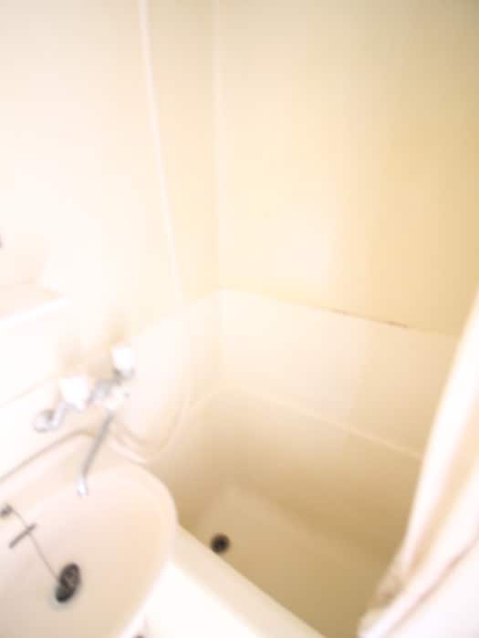 ジョイフル亀有の物件内観写真