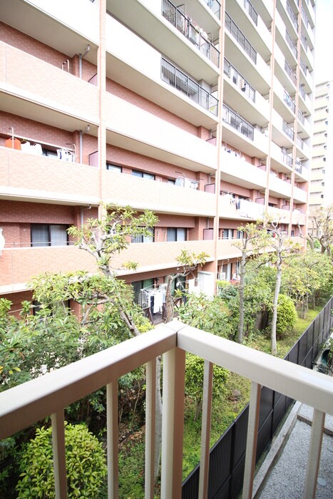 メゾン・ド・ビトウの物件内観写真