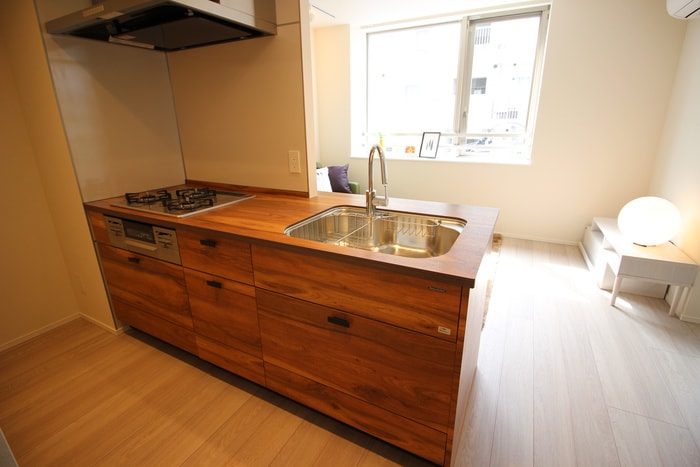 エルスタンザ文京湯島の物件内観写真