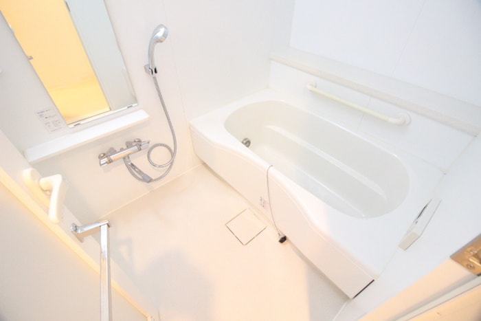 ﾊﾟ-ｸｱｸｼｽ新板橋ｳｴｽﾄ(885-42-2)の物件内観写真