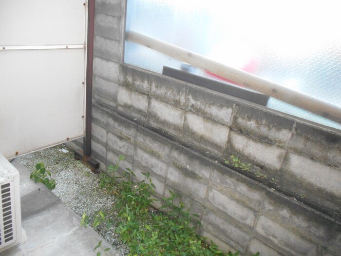 ＹＭニュータウンの物件内観写真