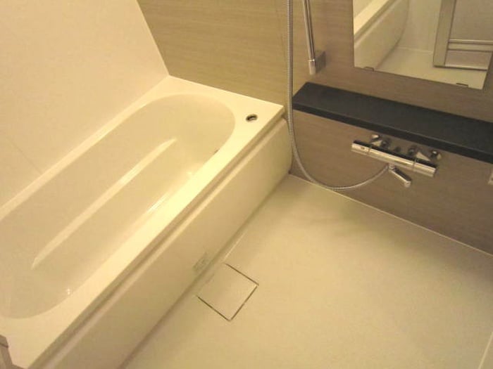 ﾊﾟｰｸｱｸｼｽ滝野川ﾗ ﾌﾞﾘｰｽﾞの物件内観写真