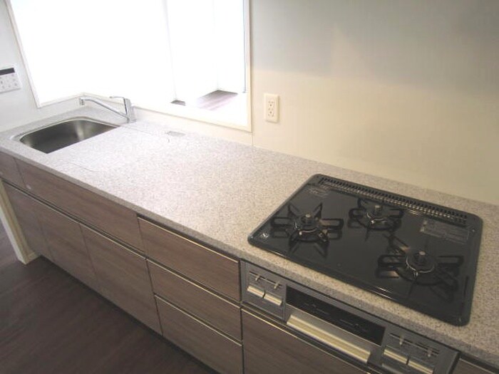 ﾊﾟｰｸｱｸｼｽ滝野川ﾗ ﾌﾞﾘｰｽﾞの物件内観写真