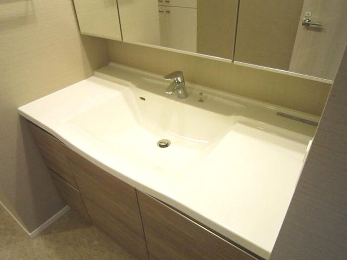 ﾊﾟｰｸｱｸｼｽ滝野川ﾗ ﾌﾞﾘｰｽﾞの物件内観写真