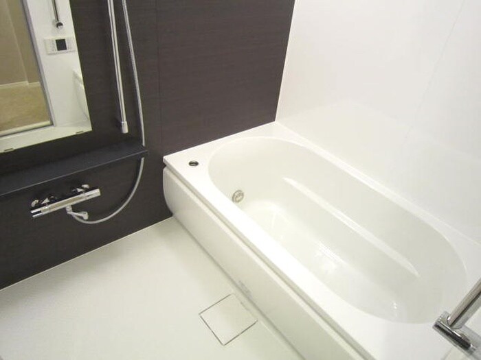 ﾊﾟｰｸｱｸｼｽ滝野川ﾗ ﾌﾞﾘｰｽﾞの物件内観写真