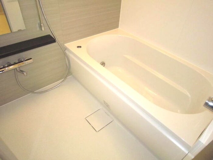 ﾊﾟｰｸｱｸｼｽ滝野川ﾗ ﾌﾞﾘｰｽﾞの物件内観写真