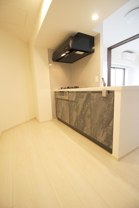 ﾌﾟﾚｰﾙ･ﾄﾞｩｰｸ本所吾妻橋Ⅵの物件内観写真