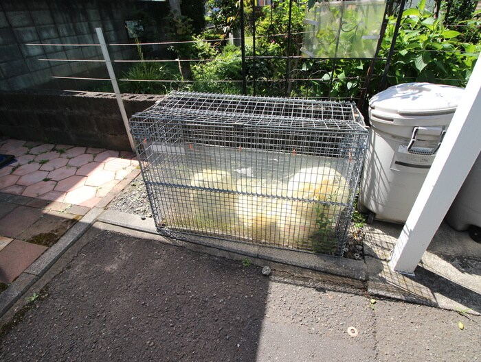 桜プレイスの物件外観写真