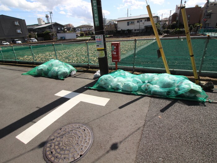 メイプルハイツの物件外観写真