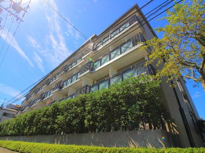 エルハイツ成増（Ｅ１０３）の物件外観写真