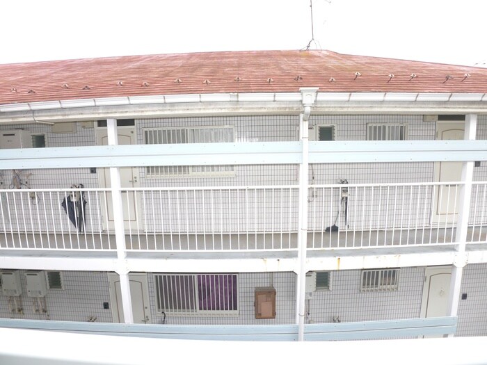 マンションＨＥＲＯ（大嘉）の物件内観写真