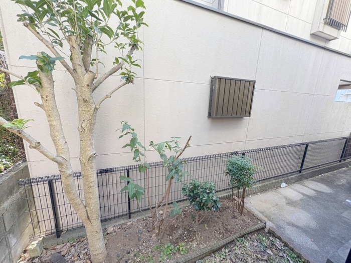 ファーストメゾンの物件内観写真