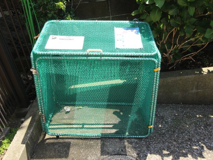 メゾン菊名の物件外観写真