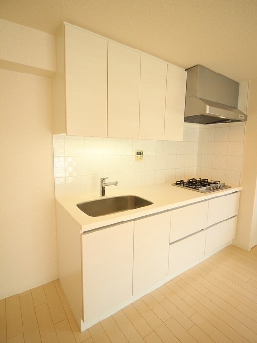 レジディア南雪谷の物件内観写真