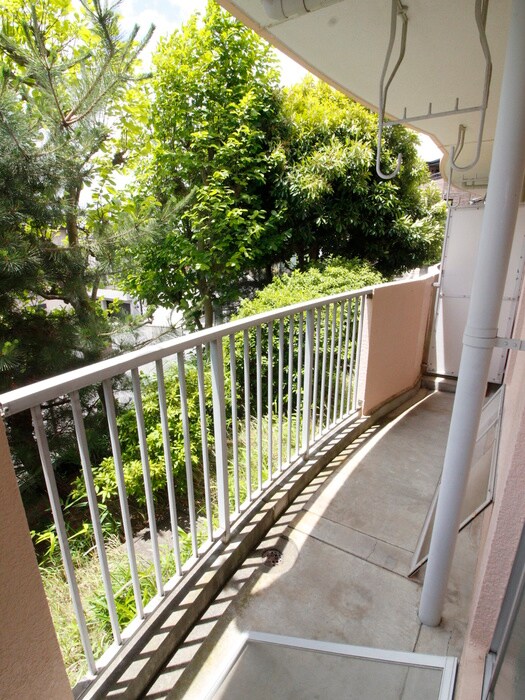 サンライズ青葉台の物件内観写真