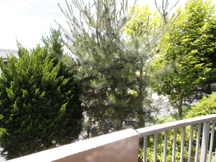 サンライズ青葉台の物件内観写真