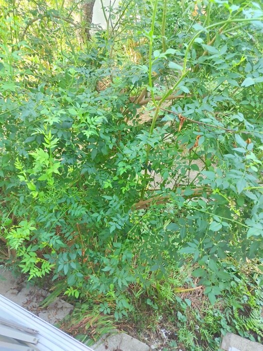 アパ－トメントひまわりの物件内観写真