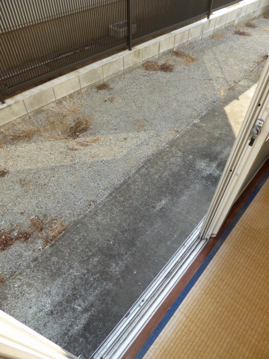 ニュ－ネイバ－の物件内観写真