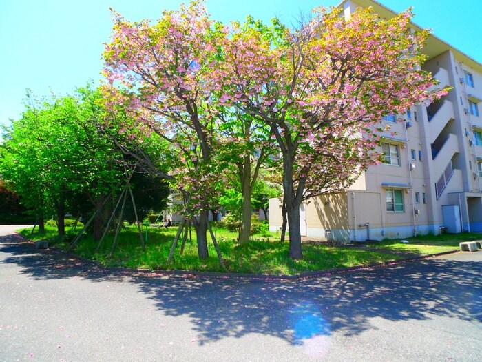 ビレッジハウス上尾向原2号棟の物件外観写真