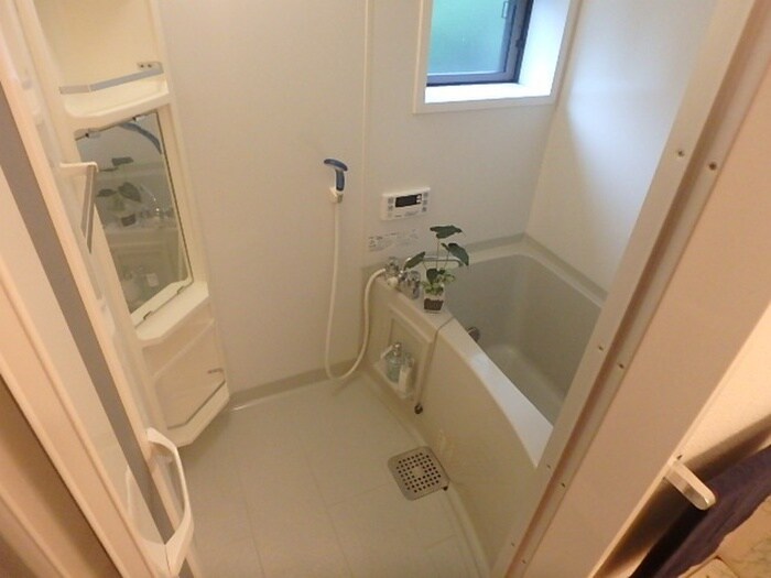 カサベルテの物件内観写真