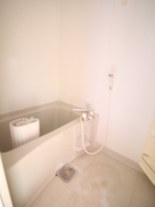 バンブーヴィラージュの物件内観写真