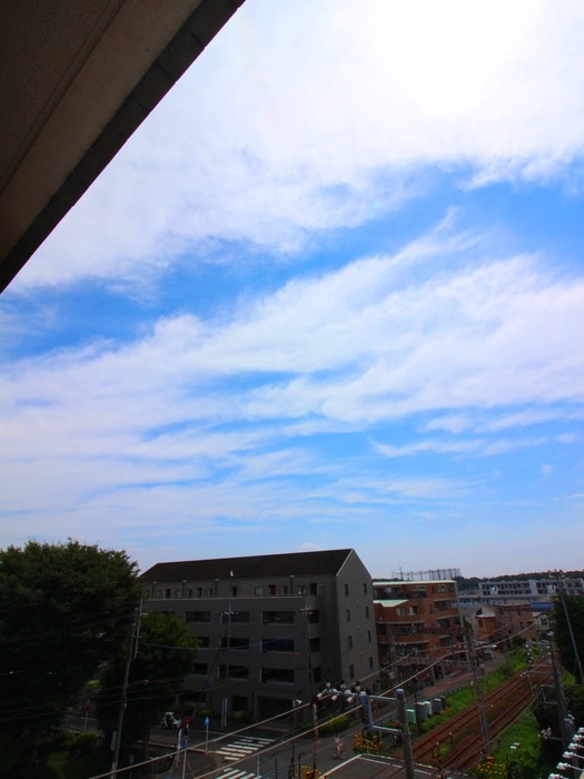 サザントゥリーⅡの物件内観写真