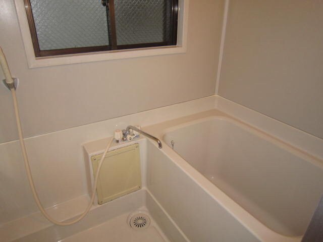 ﾊﾟｲﾝﾊｲﾑAの物件内観写真