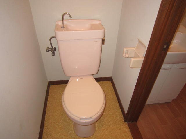 ﾊﾟｲﾝﾊｲﾑAの物件内観写真