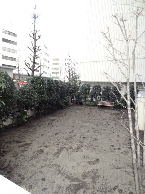 コンフォリア芝浦ﾊﾞｳﾊｳｽの物件外観写真